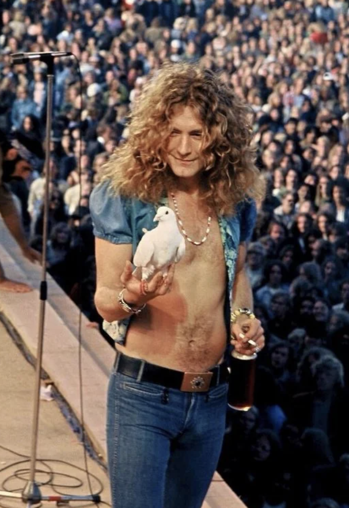 robert plant cool